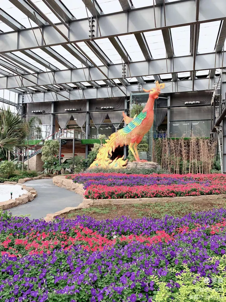 金沙洲壹号庄园